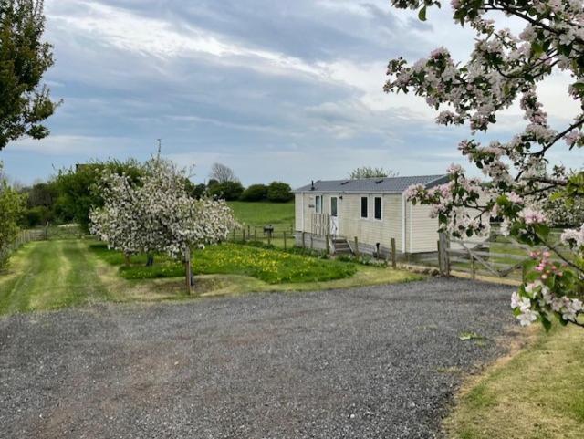 Plum Tree Lodge Set In 2 Acres Of Private Land Coundon Exterior photo